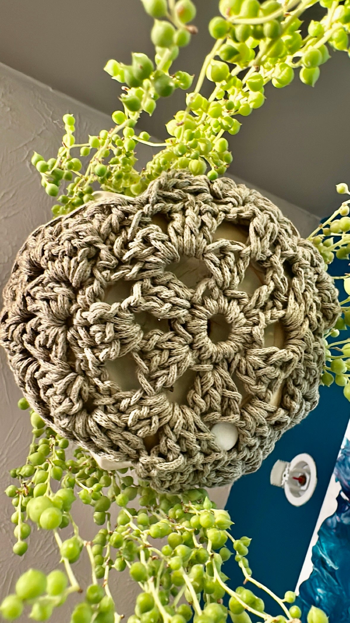 The Luxe Ivy Plant Hanger