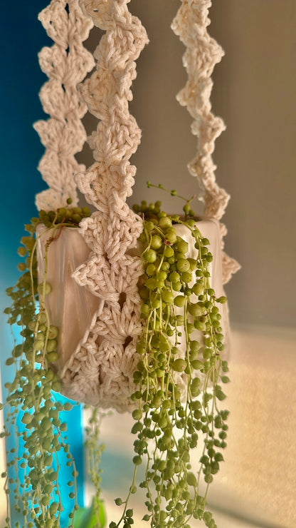 The Luxe Ivy Plant Hanger